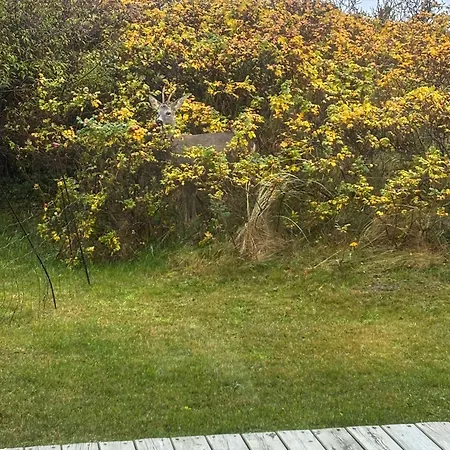 Renovated 70s House With Sea View Near Lonstrup Feriehus *